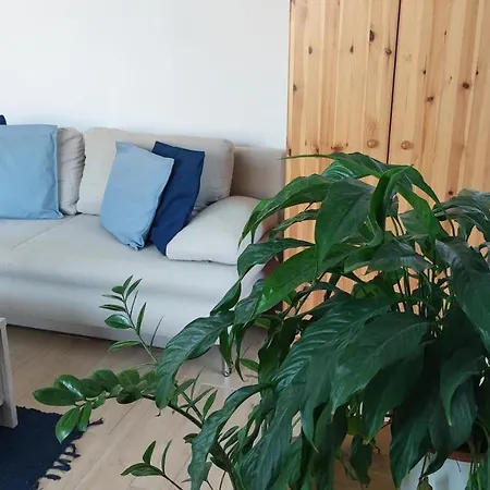 Zita Apartman Διαμέρισμα *